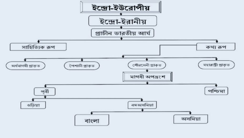 বাংলা ভাষার উৎপত্তি কোন ভাষা থেকে?